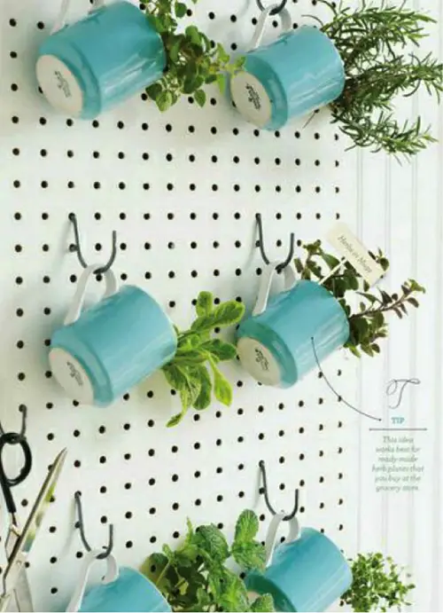 DIY Porch China Tea Herb Garden Ideas