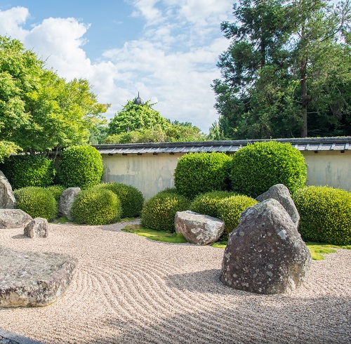Boulders, Bald Trees, and Shrubs