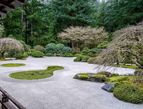 Zen Garden with Bald Trees