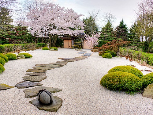 Stone Pathway through Zen Garden