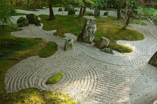 An Outdoor Zen Garden with Trees