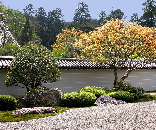 A Huge Zen Garden with Rocks