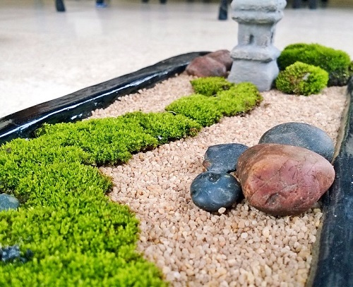Zen Garden in a Planter