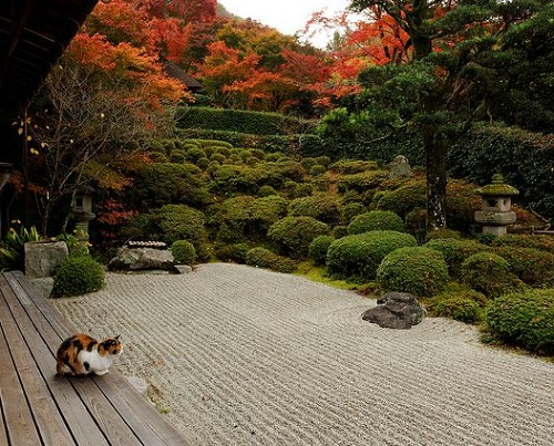 Stone Lamp Posts in Zen Garden