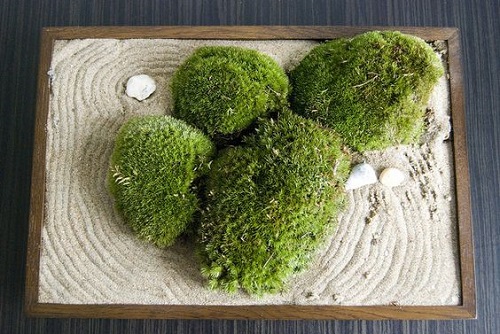 A Miniature Zen Garden
