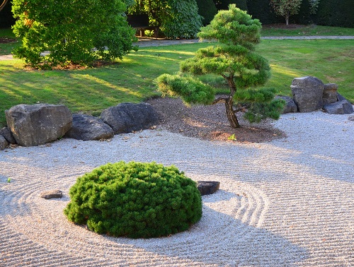Zen Garden with Mini Tree