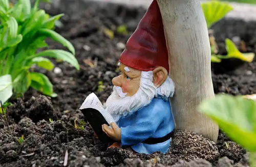 Wonderful Diy Gnome Garden Designs