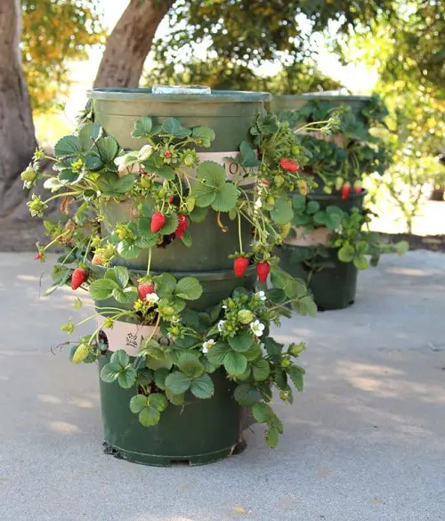 DIY Vertical Plant Tower Ideas