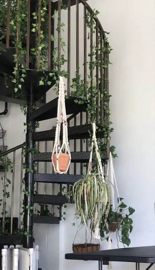 Amazing Indoor Vines on the Staircase Ideas3