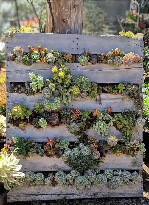 When 40 Cheap Flea Market Things Become Garden Wooden Pallets