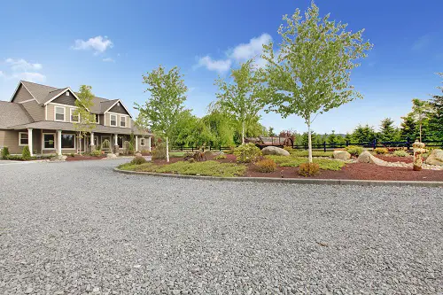 Pea Gravel with Tall Trees