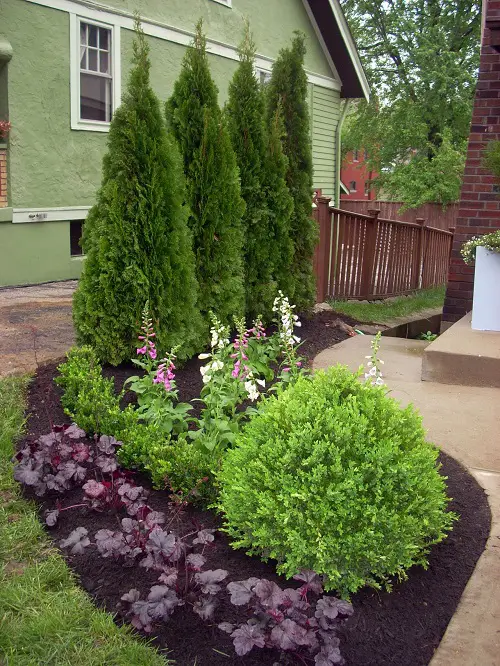 The Best Plants to Have on Your Curb apperl