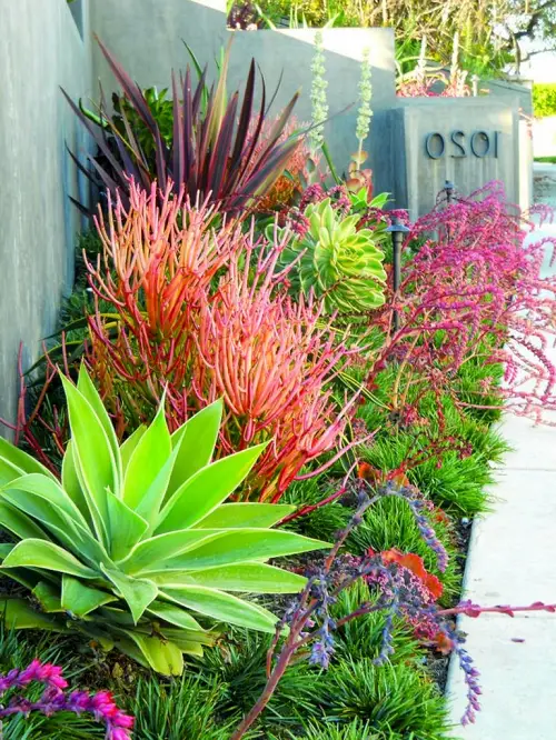 Ideas for Purple Plant Landscaping6
