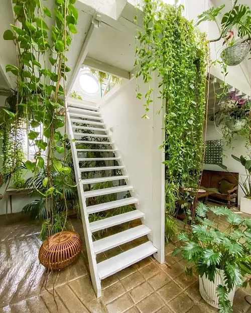 Wonderful Indoor Plants for the Stairs2