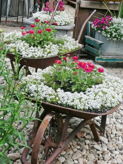 Cheap Flea Market Things Become Garden Ladder Plant Stand
