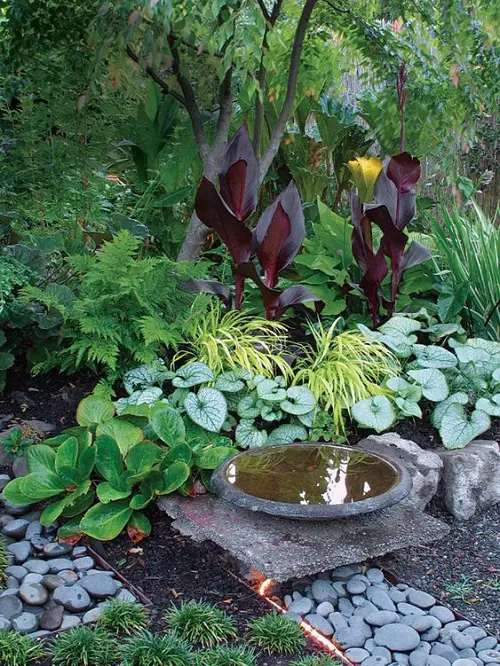 Purple Plant Ideas for Landscaping8