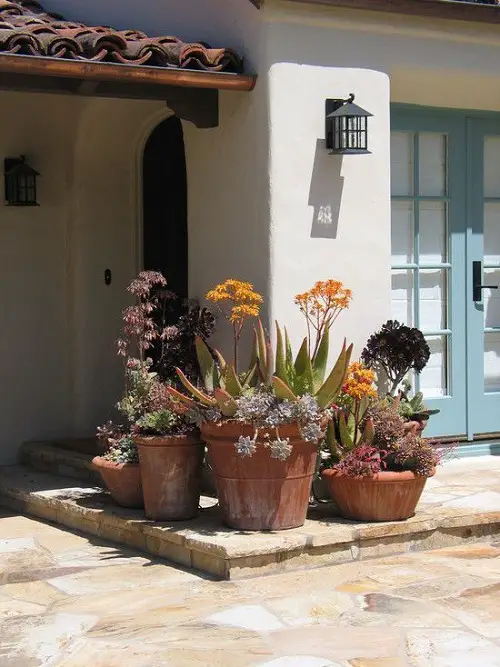 Purple Plant Ideas for Landscaping2
