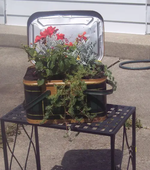 Suitcase Planter in garden