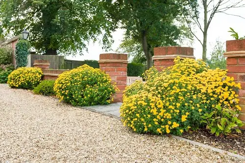 Plant Borders and Pea Gravel Driveway