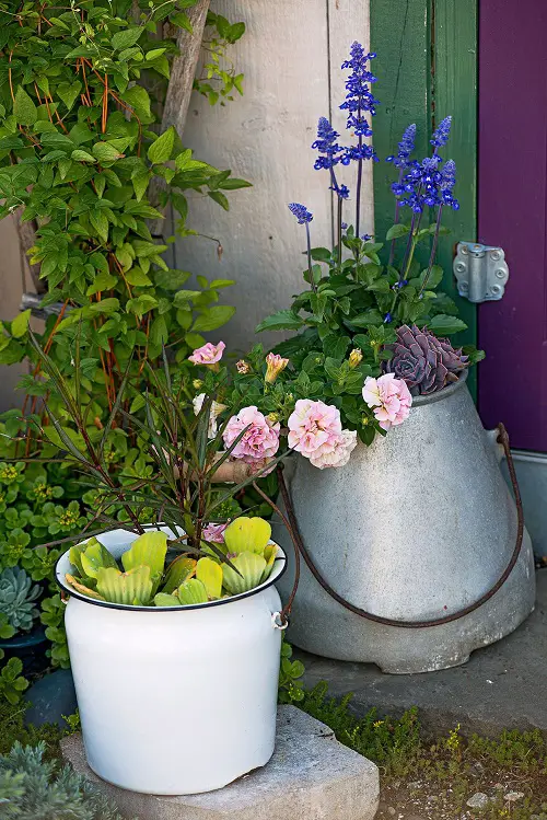 Metal Bucket Planter