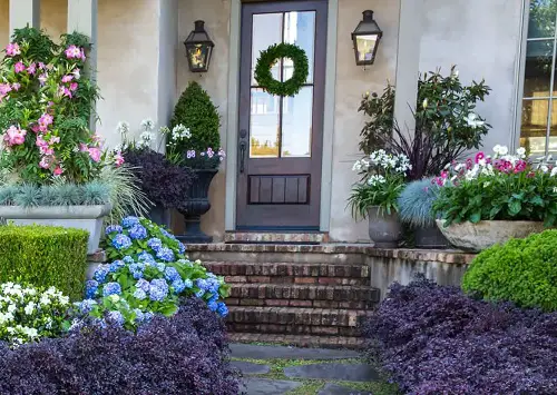 Landscape Designs with Purple Plants3