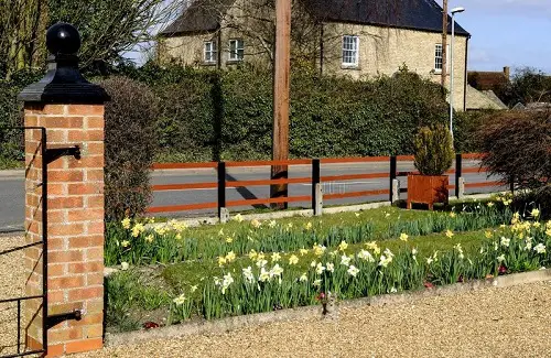 Blooms and Wooden Fence