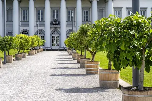 Gravel Driveway and Wooden Planters