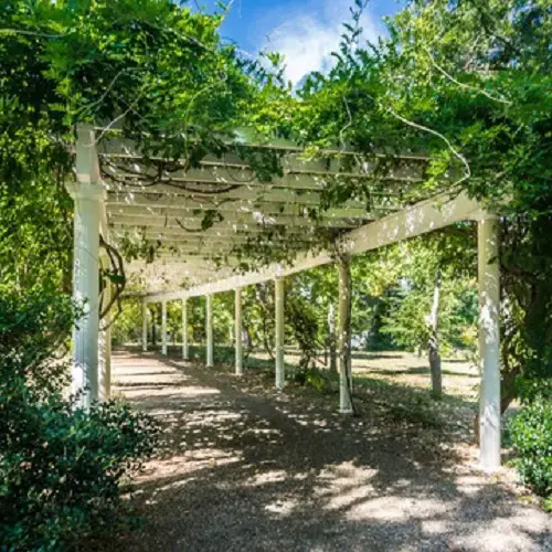 Wooden Structure and Foliage pathway