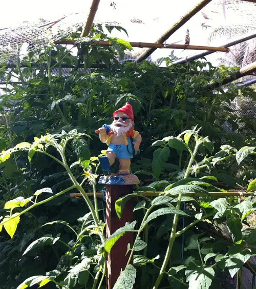DIY Gnome Garden Ideas Lone Gnome Watchman