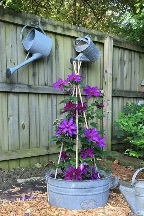Hang Watering Cans Artistically