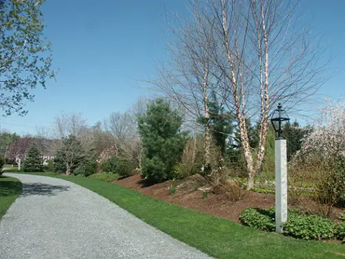 Grass-lined Driveway