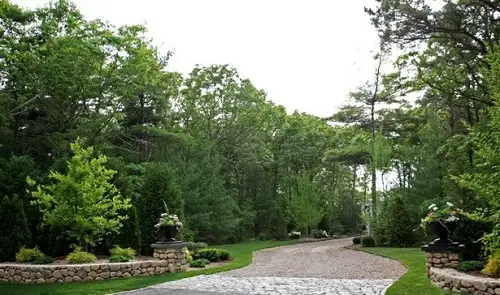 Driveway Through a Forest