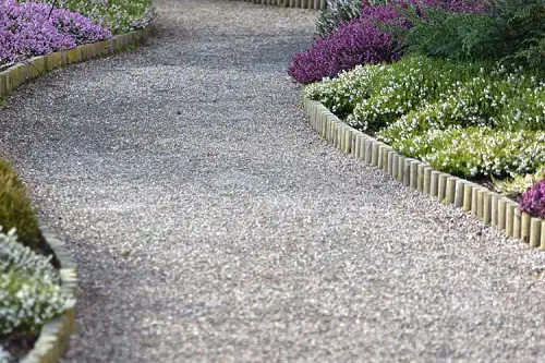 A Mix of Purple and Dark Green