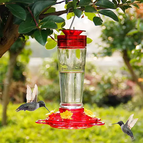 Recipes for Homemade Hummingbird Food