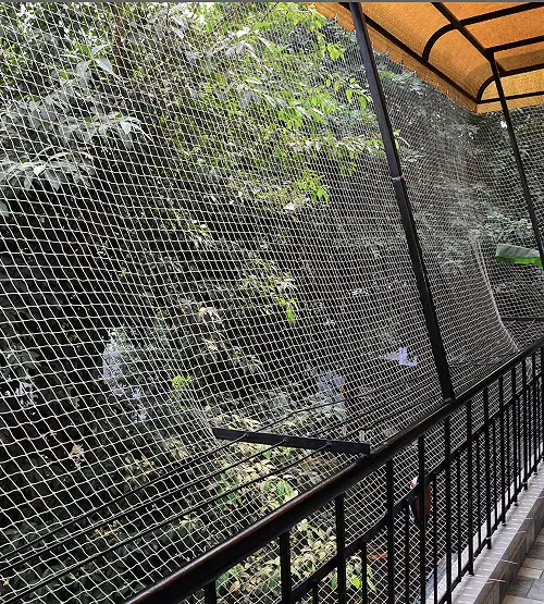 Effective Ways on How to Keep Pigeons off Balcony 1