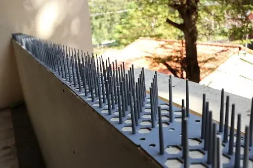 Practical Strategies for Keeping Pigeons Off the Balcony Bird Spikes