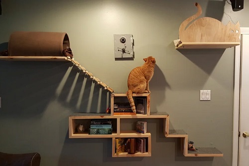 Cat Adventure and Escape Wall