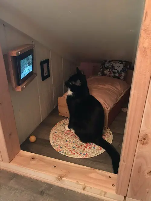 Cat Bedroom DIY Cat Room Ideas You Must Try 14