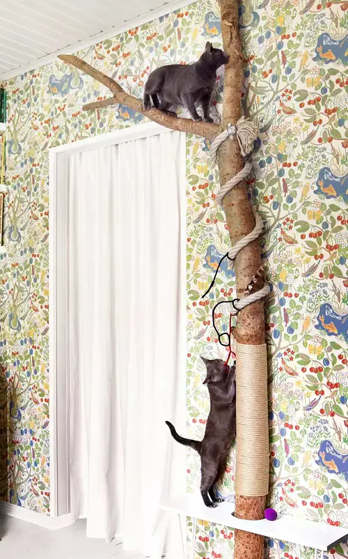 Fantastic DIY Cat Room Ideas You Must Try Cat Climbing Tree