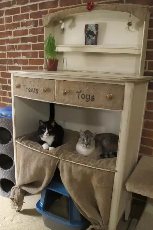 Cat Condo From Dresser