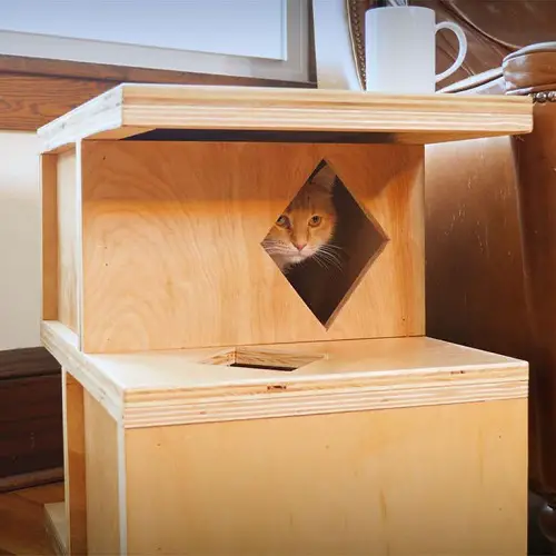Cat House