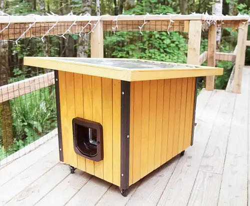 Cat House