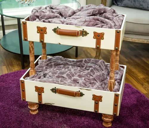 Cat Room in a Suitcase