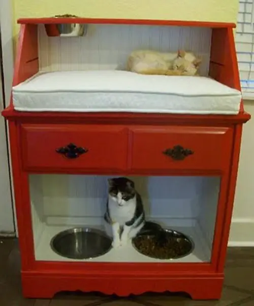 Cat Station