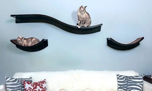 Cat Tree Room