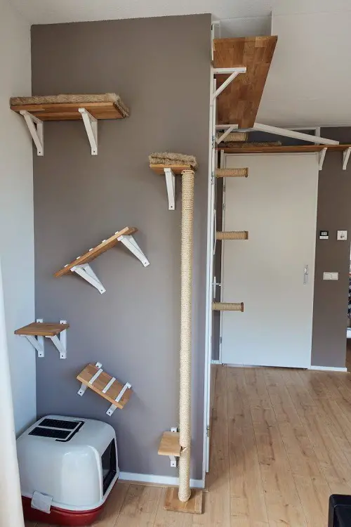 Fantastic DIY Cat Room Climbing Wall