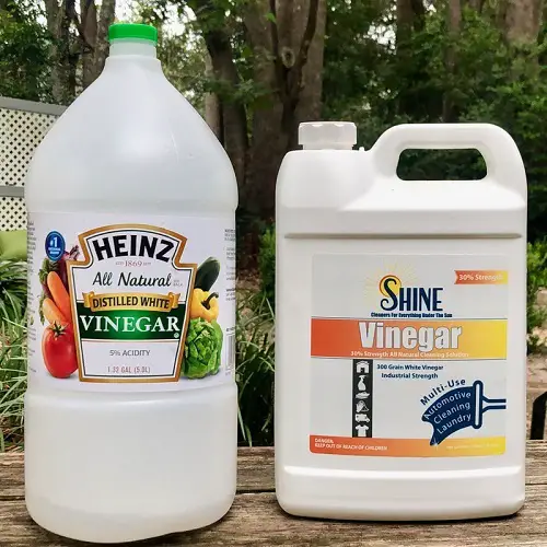 Does Vinegar Kill Ground Moles