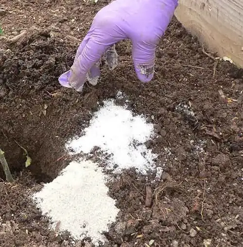 Epsom Salt