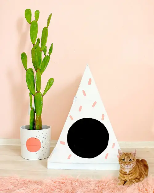 Hidden Cat Litter Box