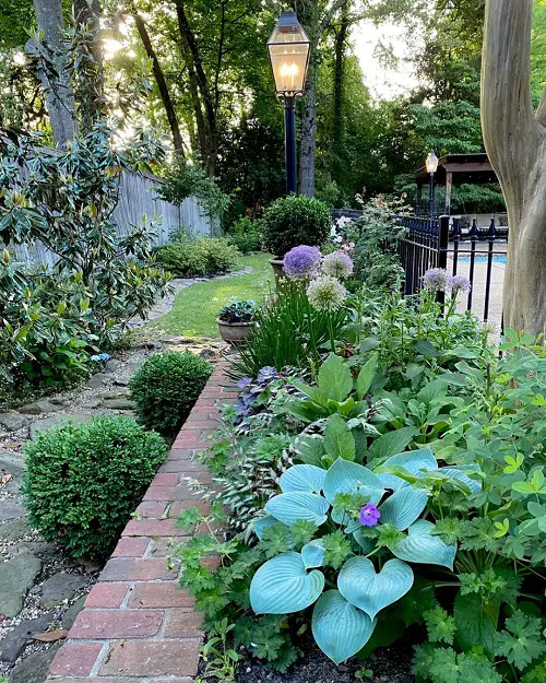 Curb Appeal's Finest Plants
